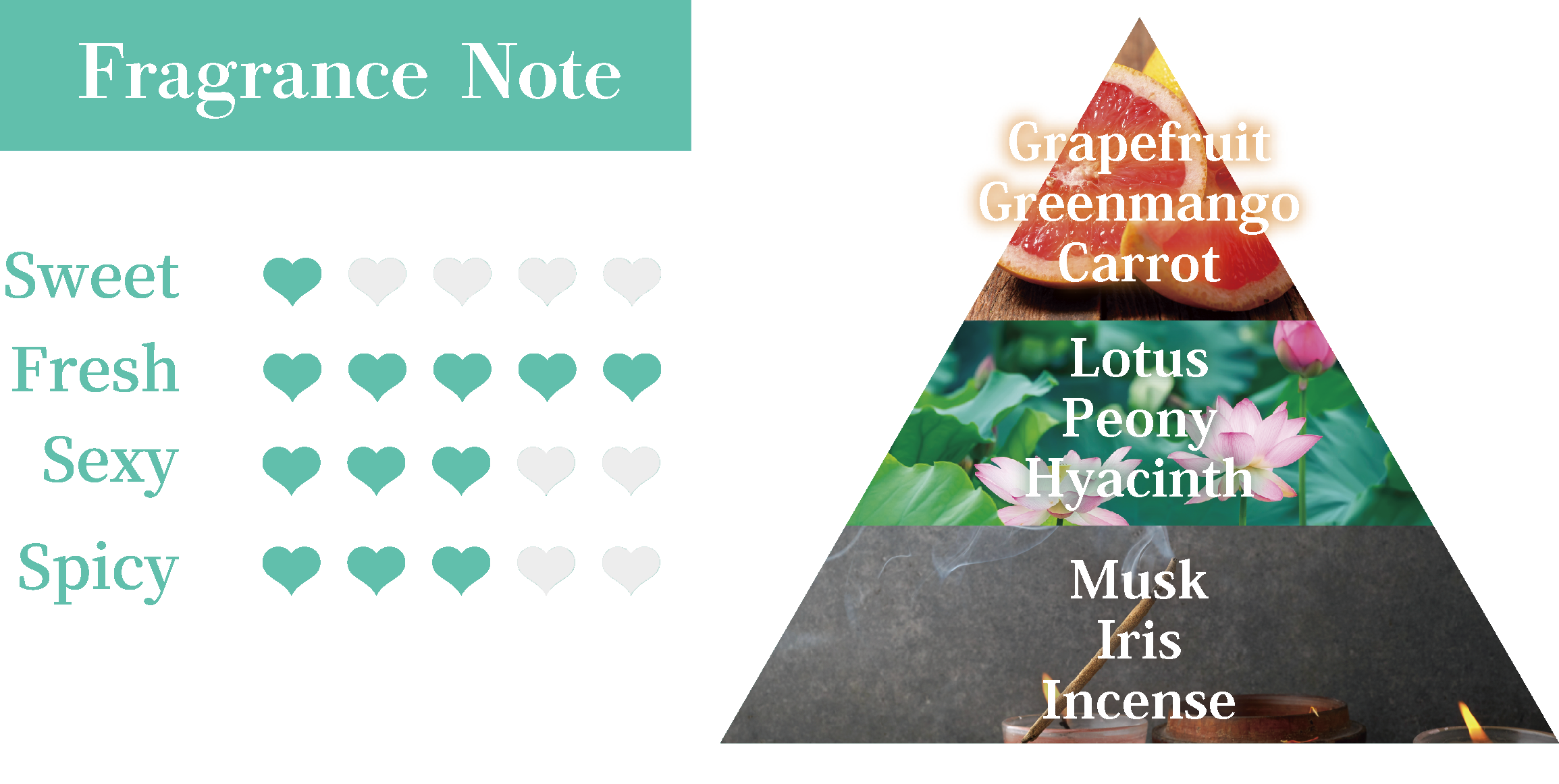 Fragrance Note