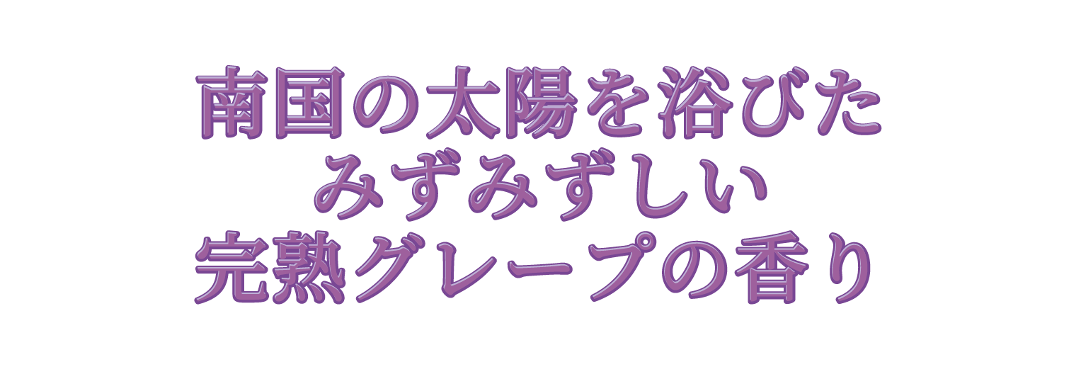 メインビジュアル